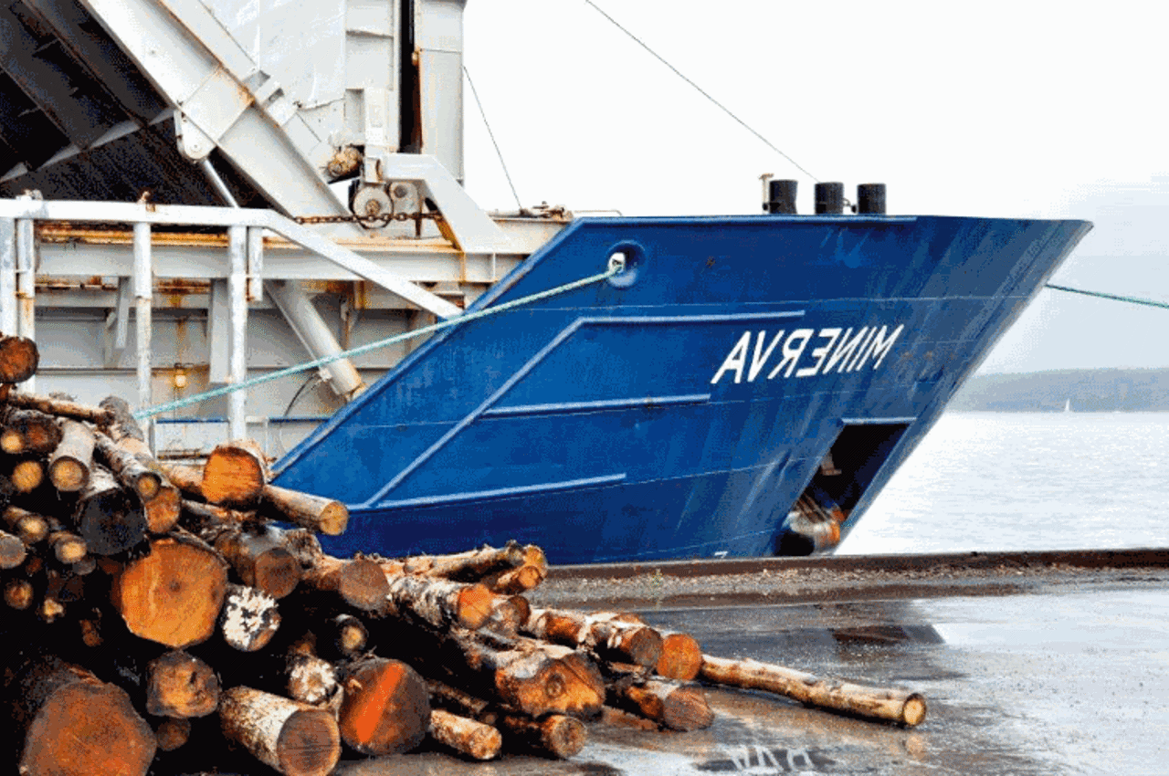 船靠在一堆木头上靠岸